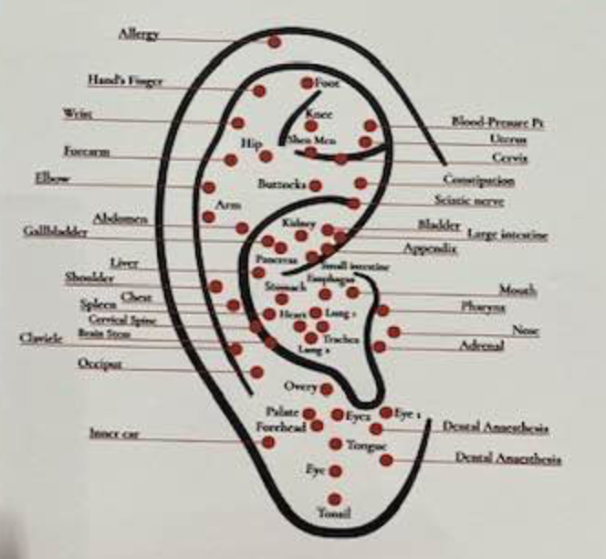 Kenneally Acupuncture Amethyst Bio-Mat